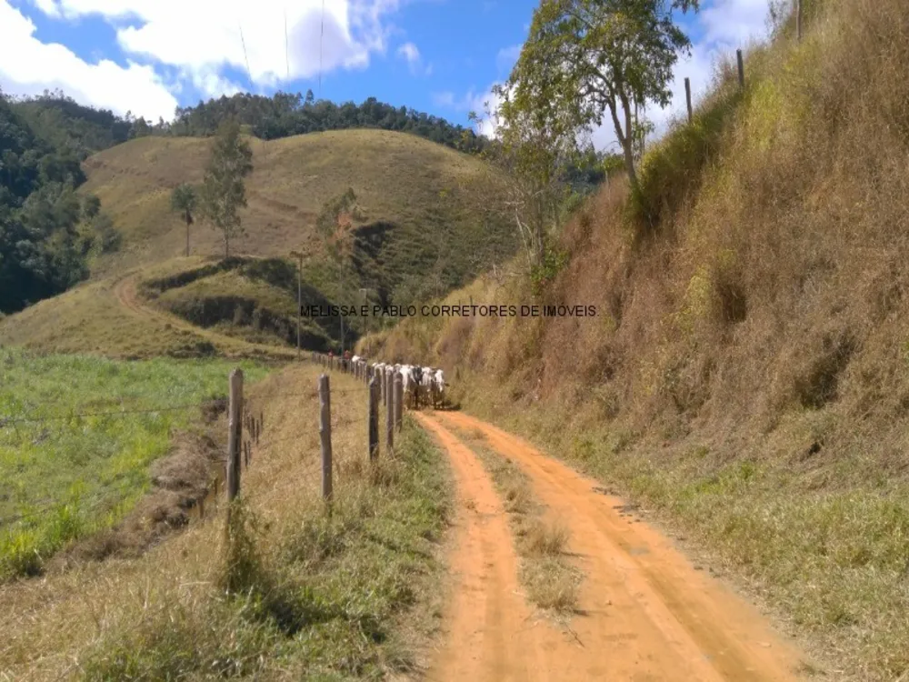 Fazenda, 3 quartos - Foto 9