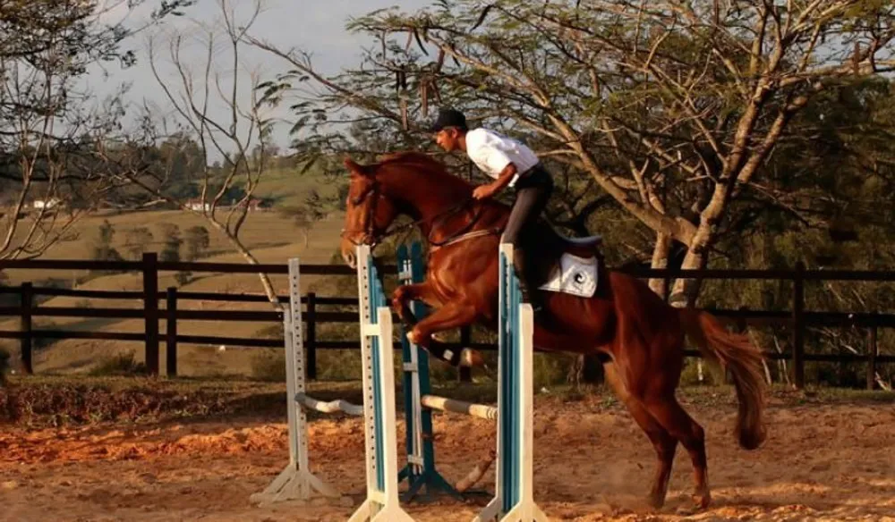 Fazenda, 100 hectares - Foto 4