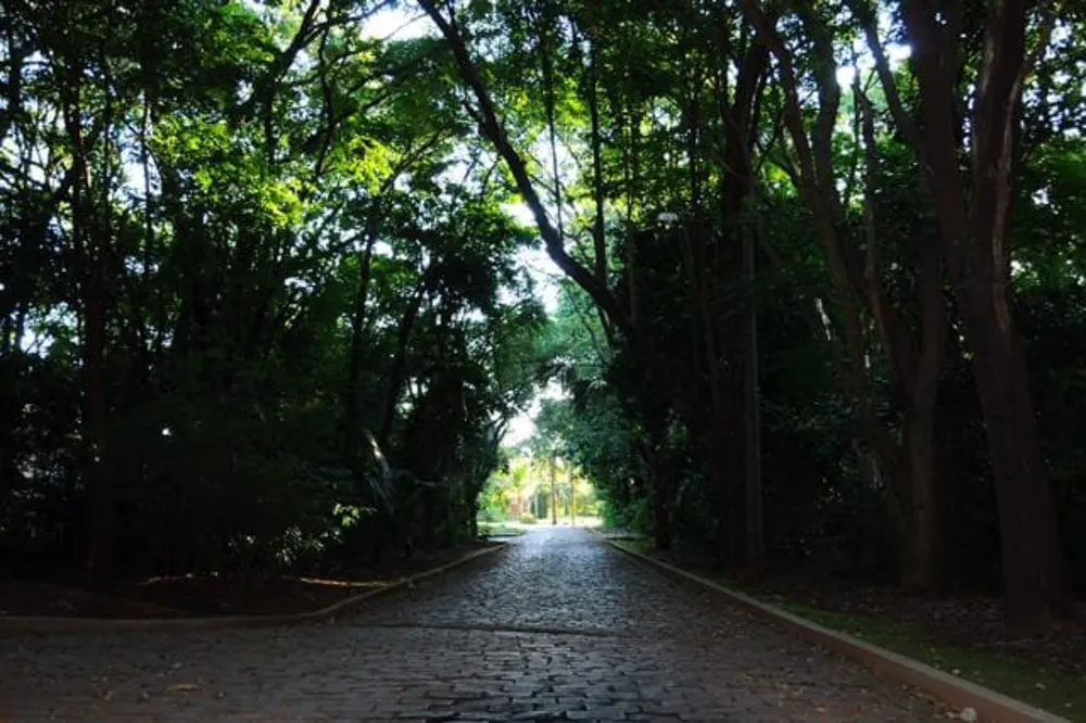 Sítio, 4 quartos, 6 hectares - Foto 4