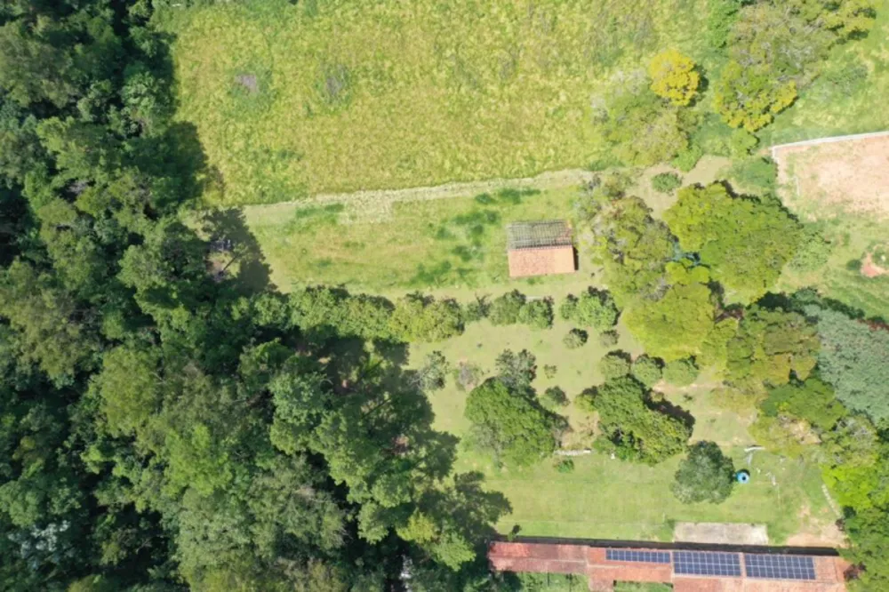 Chácara, 8 quartos, 10000 m² - Foto 3