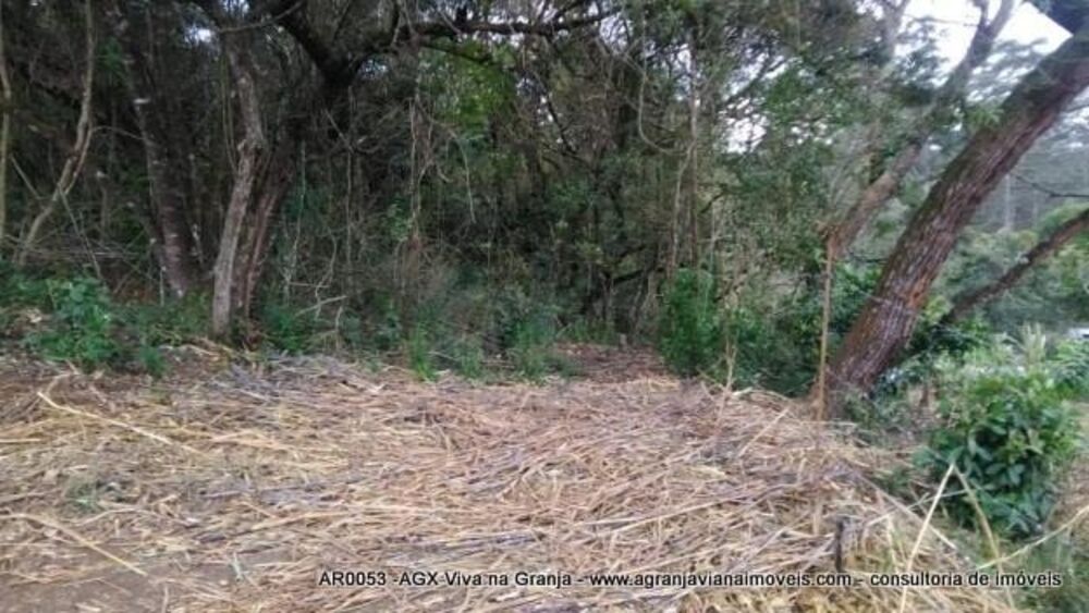 Terreno, 2 hectares - Foto 3