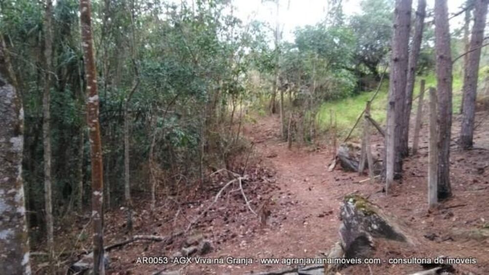 Terreno, 2 hectares - Foto 2