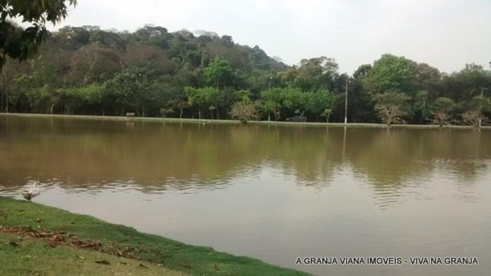 Casa, 4 quartos, 450 m² - Foto 4