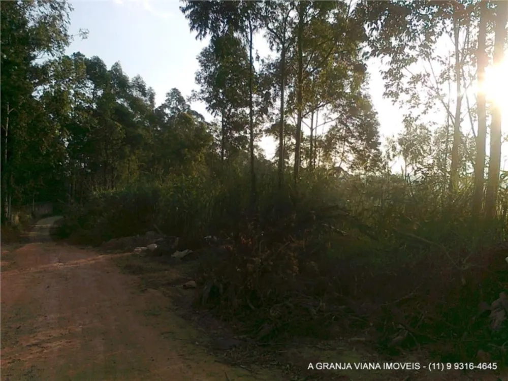 Terreno, 7 hectares - Foto 3