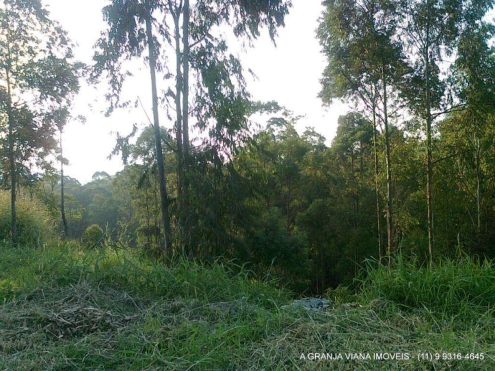 Terreno, 7 hectares - Foto 2