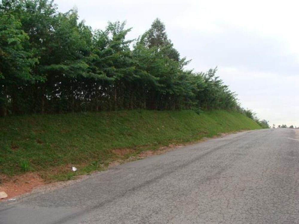 Terreno, 2 hectares - Foto 2