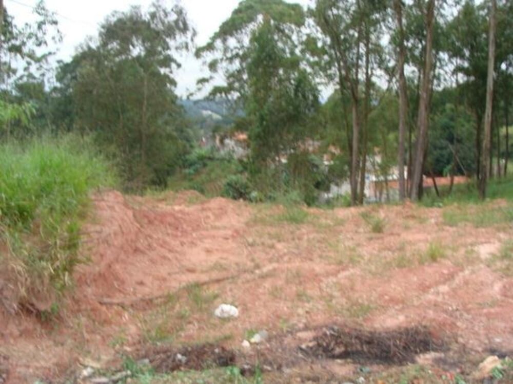 Terreno, 2 hectares - Foto 3