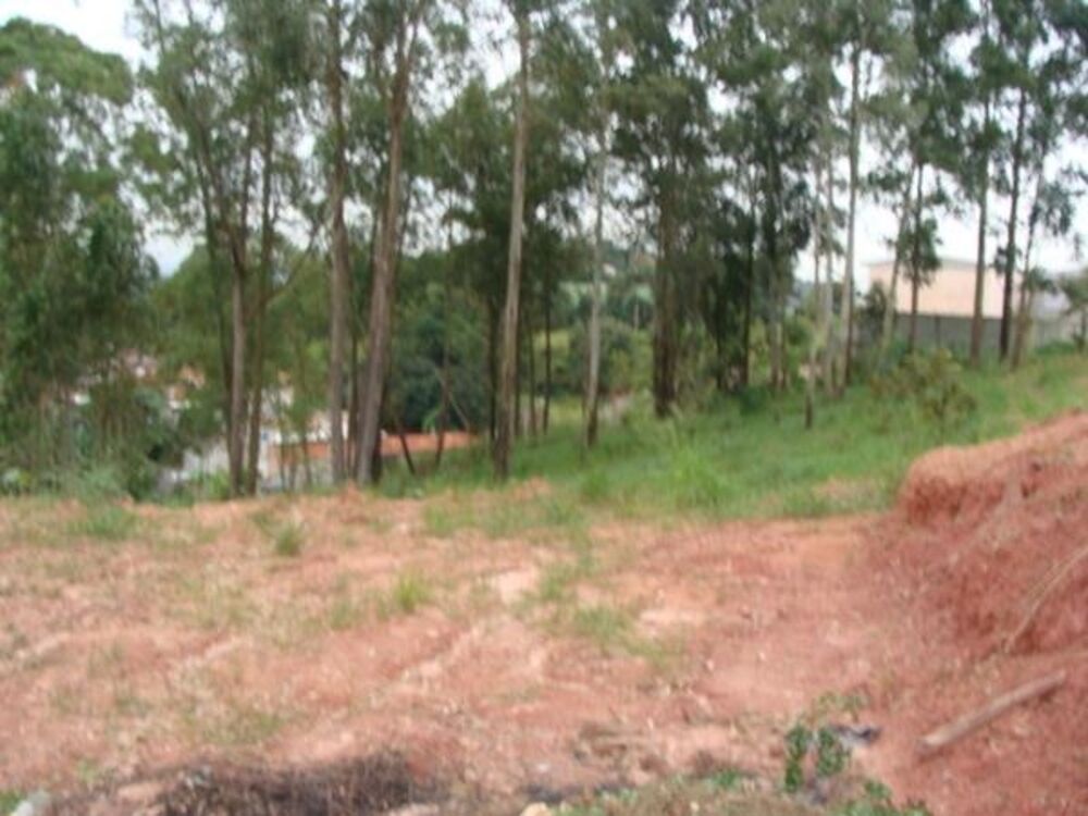 Terreno, 2 hectares - Foto 4