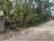 Terreno, 1550 m² - Foto 4