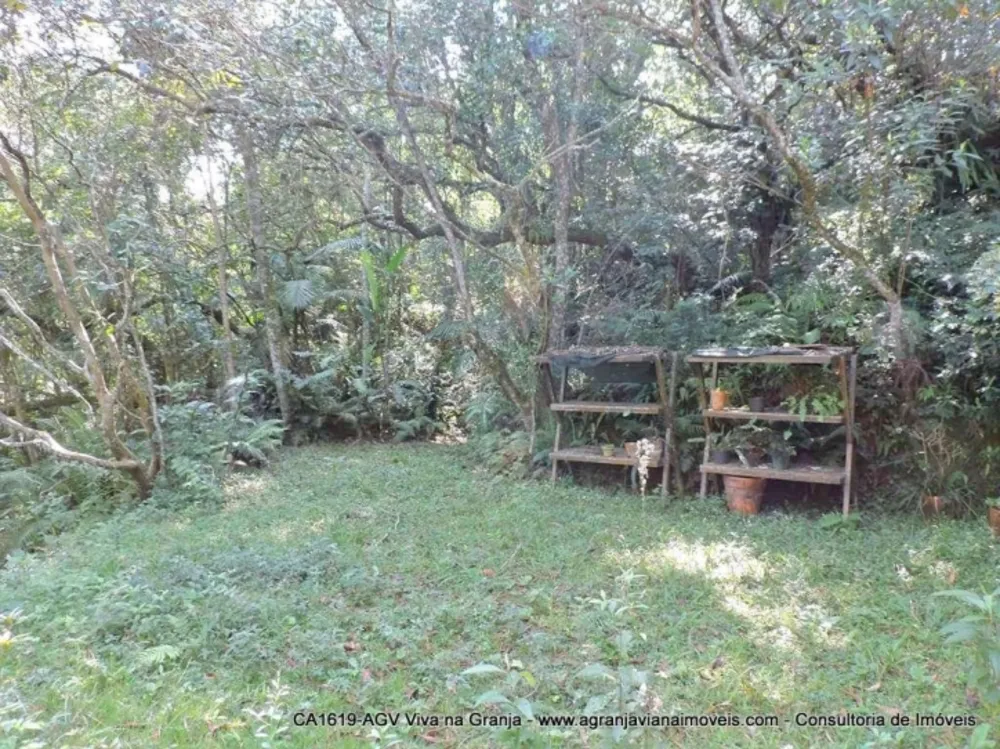 Casa, 3 quartos, 385 m² - Foto 12