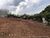 Terreno, 1000 m² - Foto 3