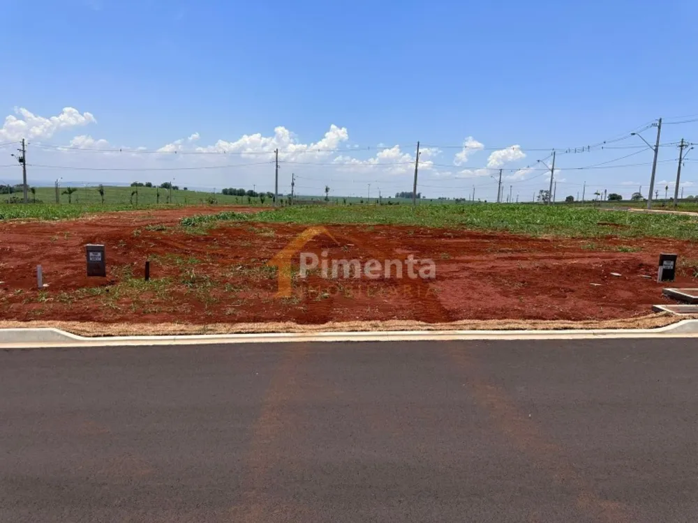 Terreno - Foto 6