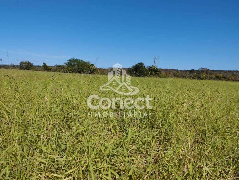 Fazenda - Foto 8