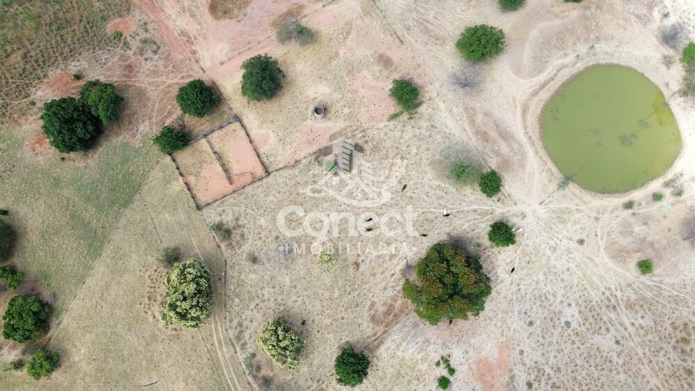 Fazenda, 770 m² - Foto 2