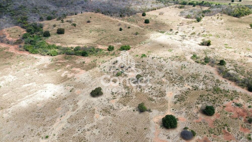 Fazenda, 770 m² - Foto 3