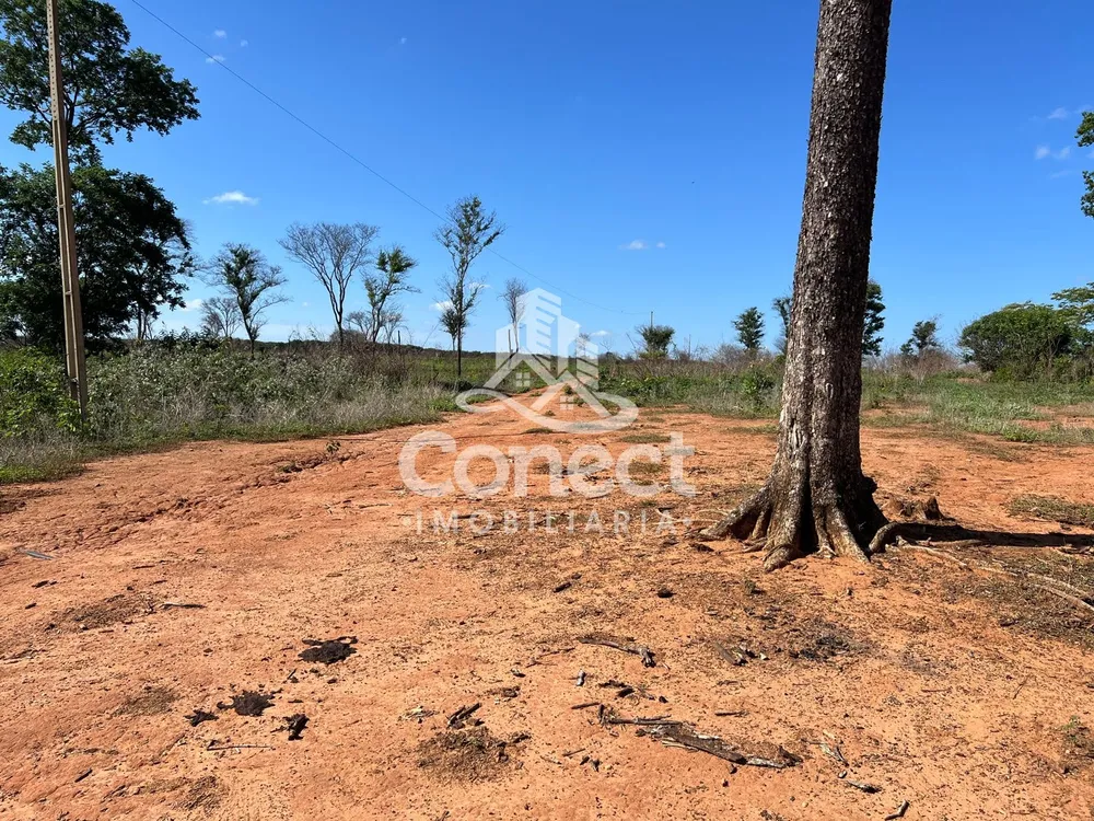Fazenda - Foto 1