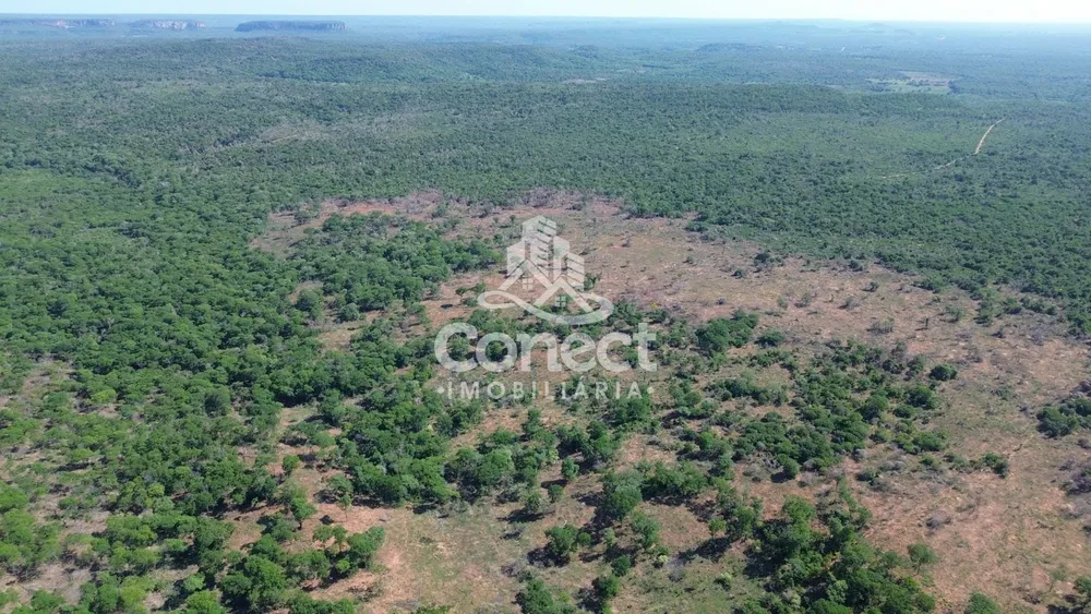 Fazenda - Foto 3