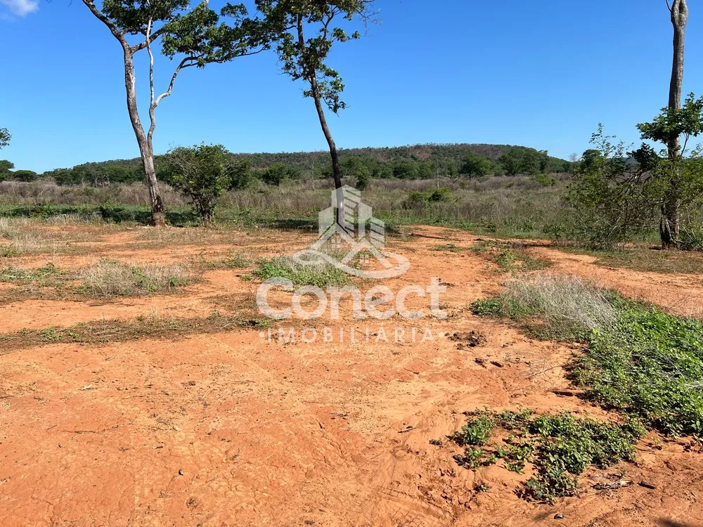 Fazenda - Foto 3