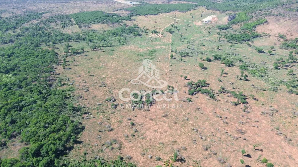 Fazenda - Foto 4