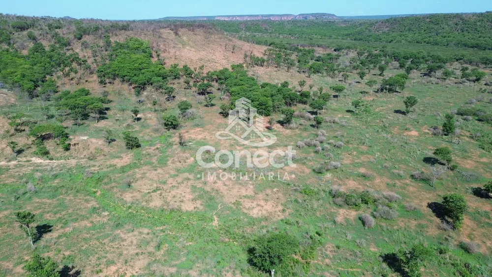 Fazenda - Foto 4