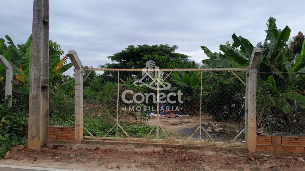 Terreno - Foto 4