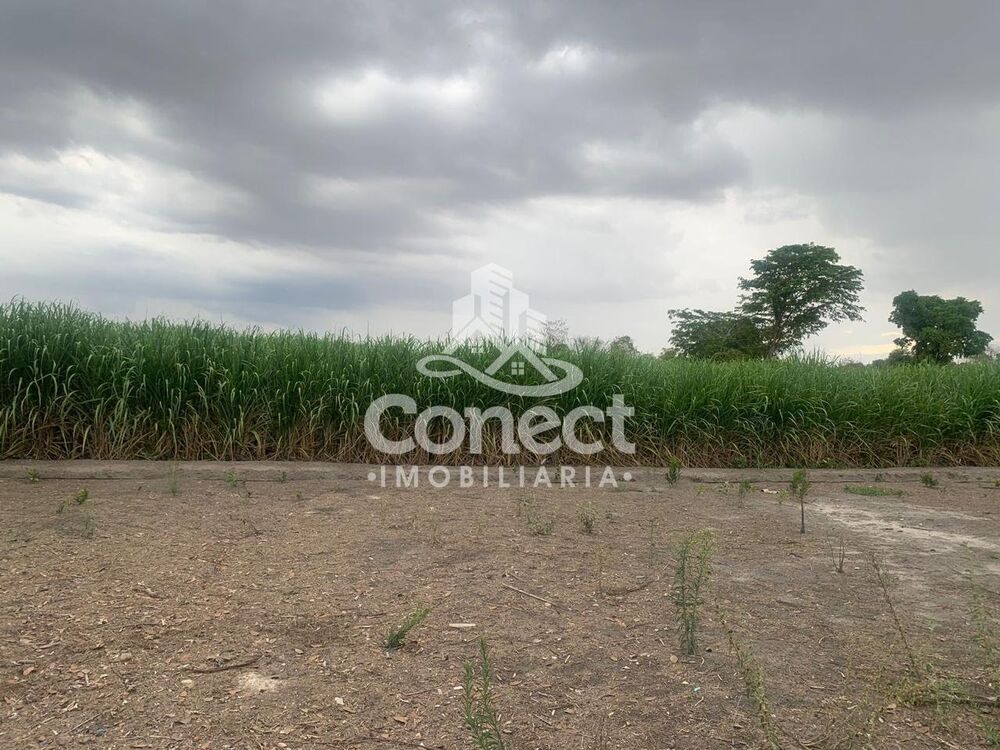 Sítio, 26 m² - Foto 2