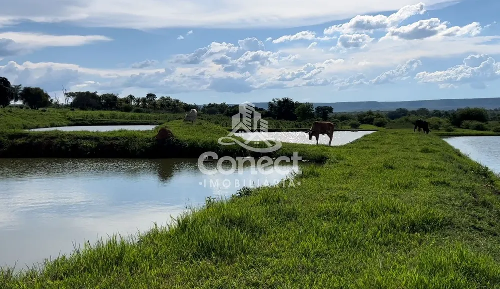 Chácara - Foto 8