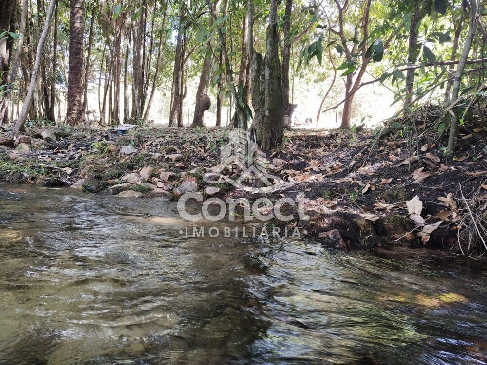 Terreno à venda - Foto 2
