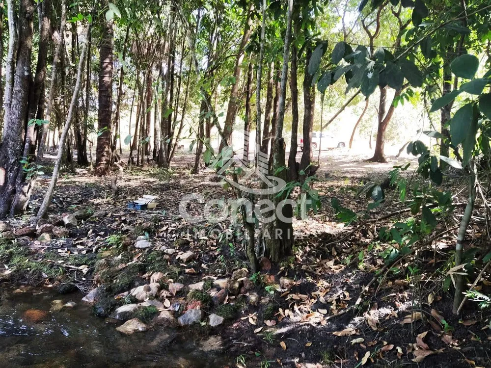 Terreno - Foto 2
