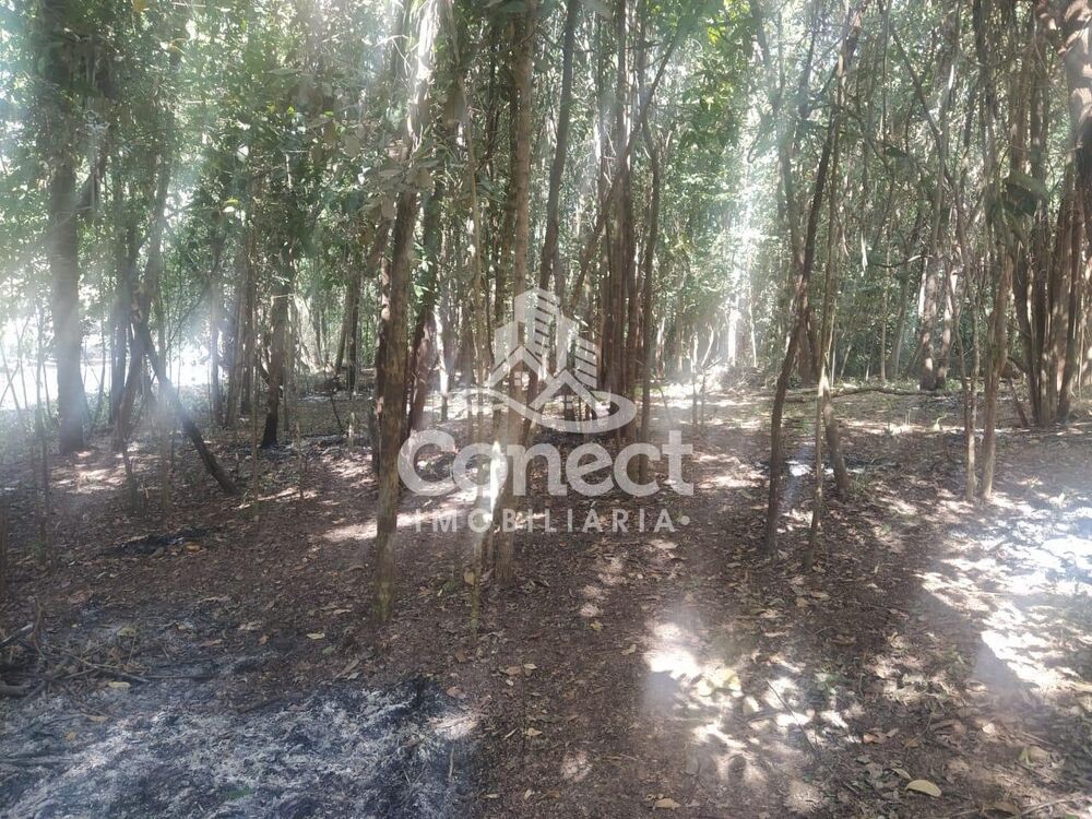 Terreno à venda - Foto 1