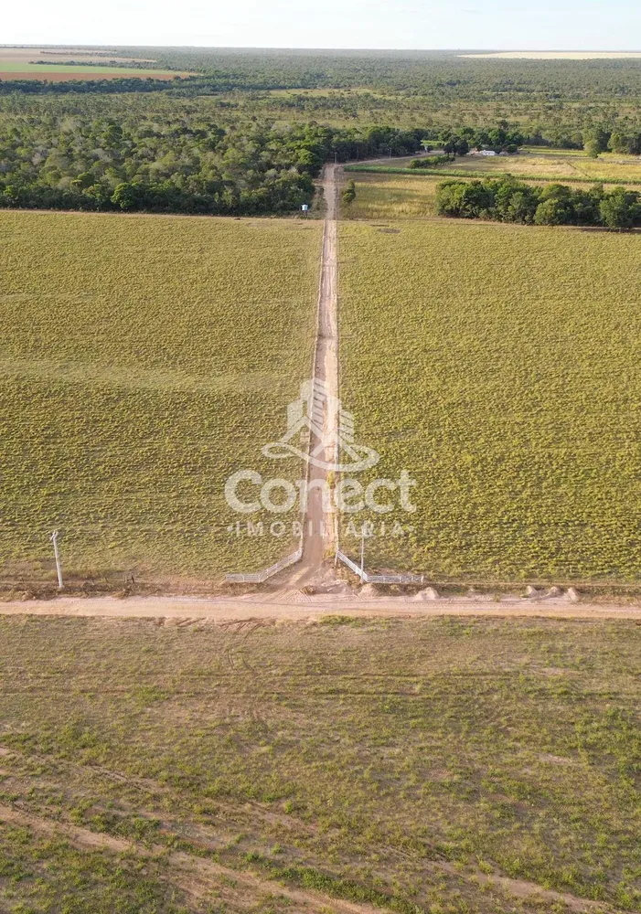 Fazenda - Foto 9
