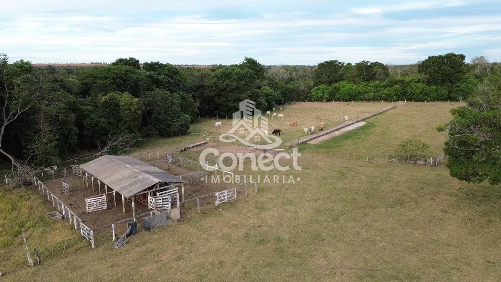 Fazenda - Foto 15