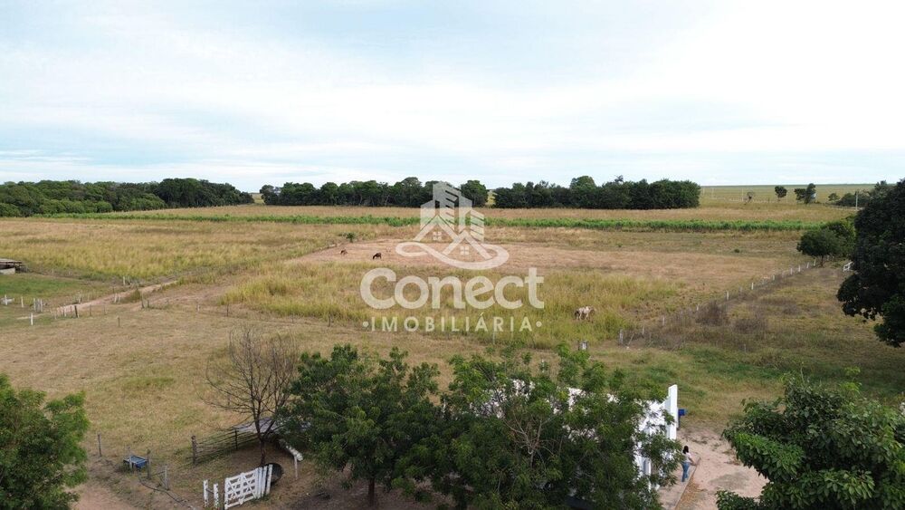 Fazenda - Foto 4