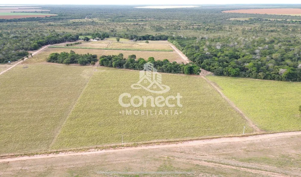 Fazenda - Foto 10