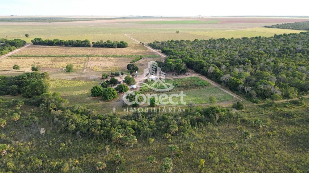 Fazenda - Foto 5