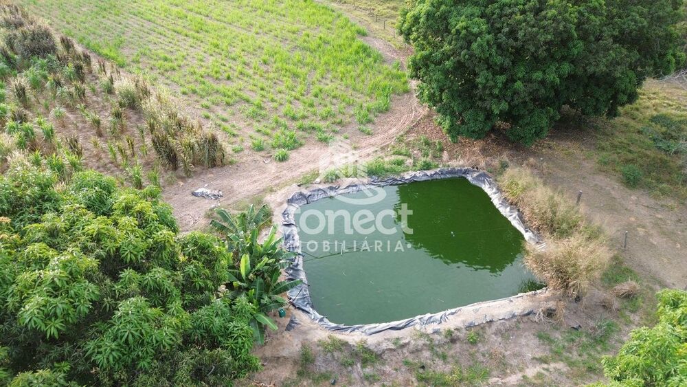 Fazenda - Foto 6