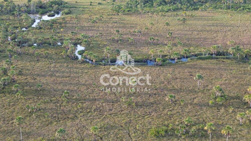 Fazenda - Foto 8