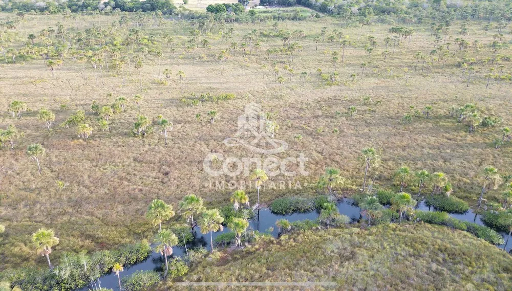 Fazenda - Foto 16