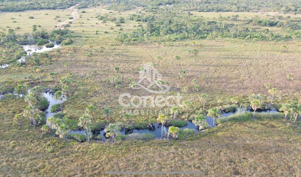 Fazenda - Foto 2