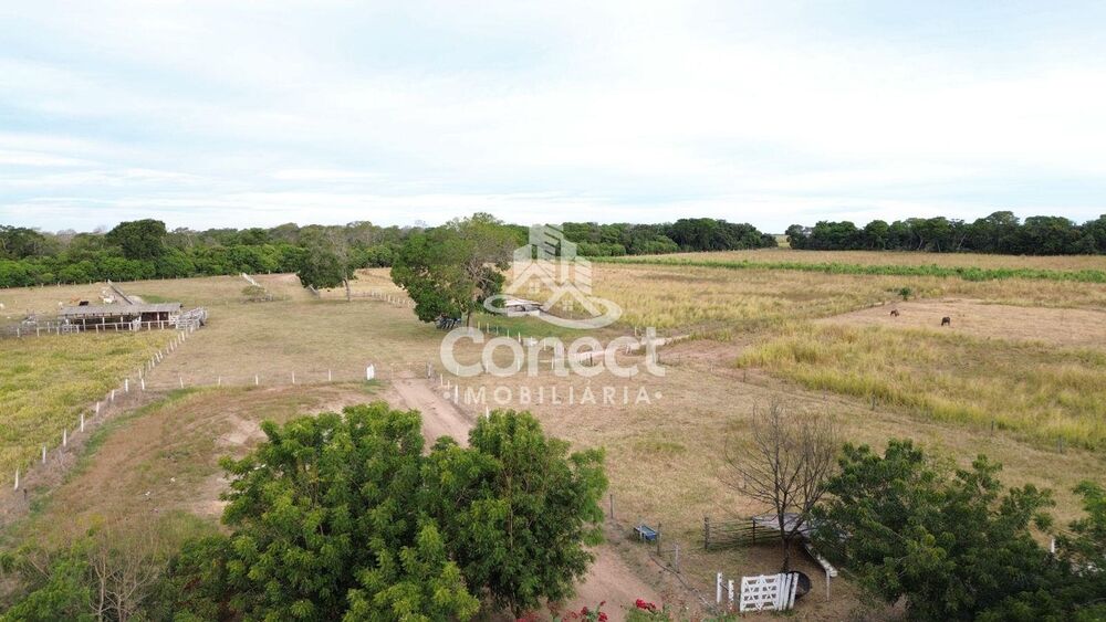 Fazenda - Foto 3
