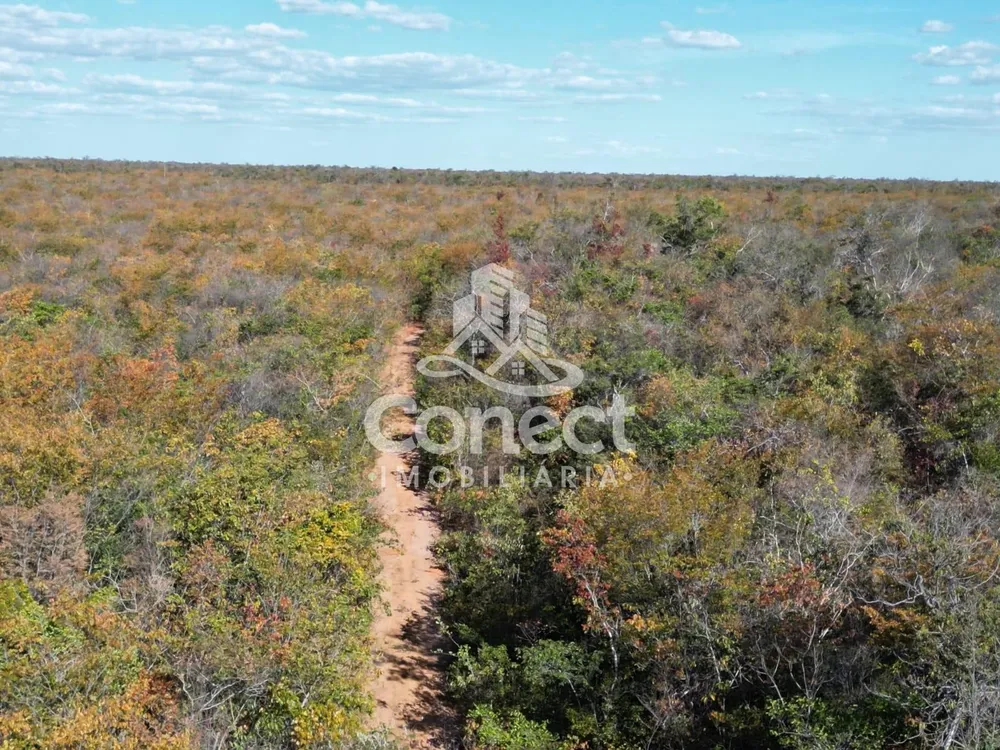 Fazenda, 8900 m² - Foto 6