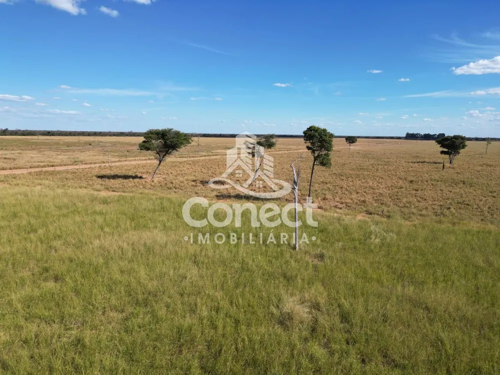 Fazenda, 8900 m² - Foto 4
