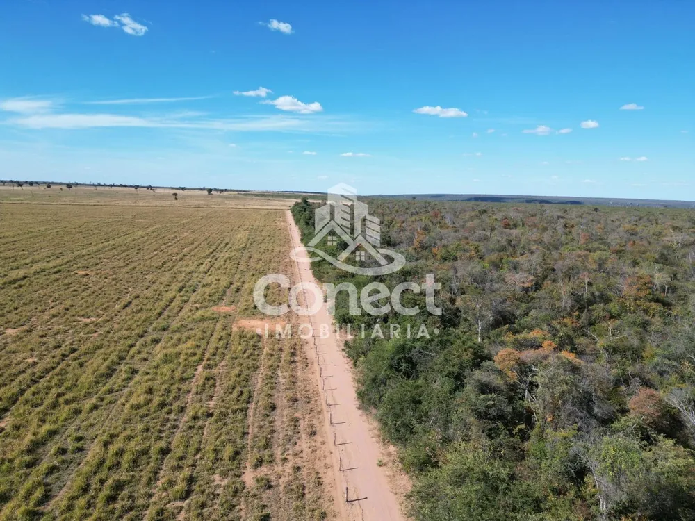 Fazenda, 8900 m² - Foto 10