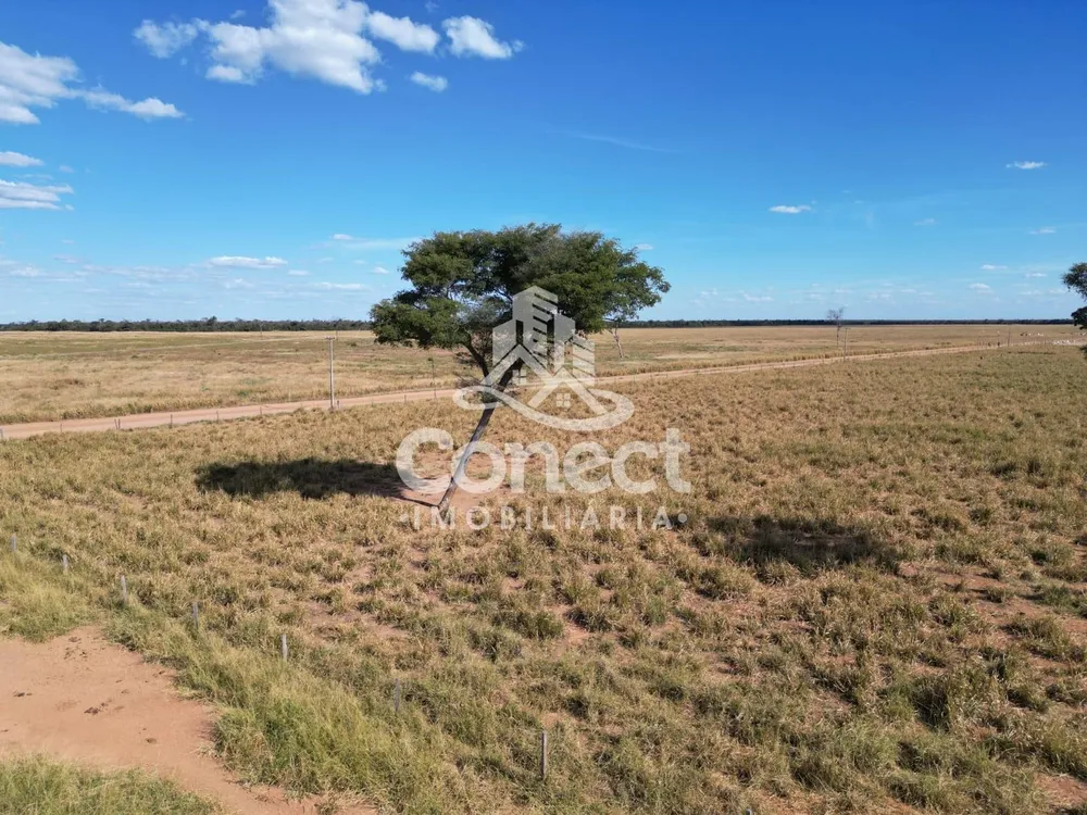 Fazenda, 8900 m² - Foto 7