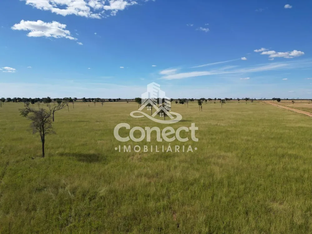Fazenda, 8900 m² - Foto 9