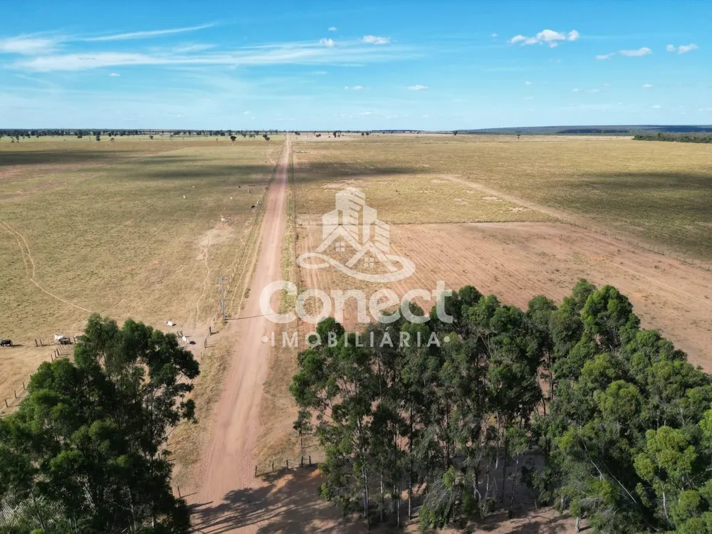 Fazenda, 8900 m² - Foto 8
