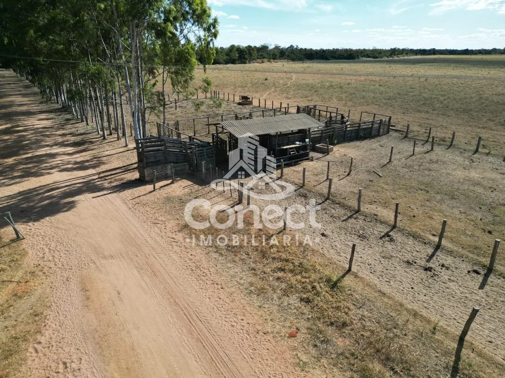 Fazenda, 8900 m² - Foto 12