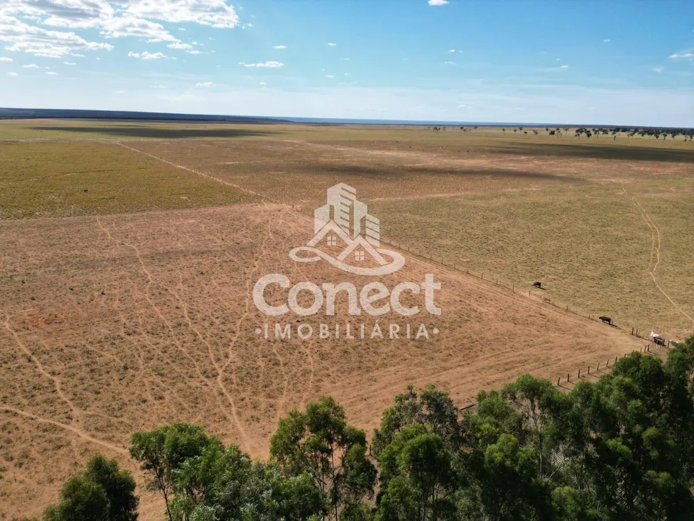 Fazenda, 8900 m² - Foto 1
