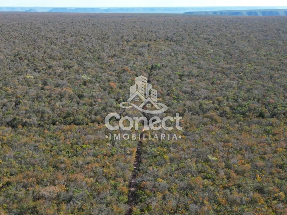 Fazenda, 8900 m² - Foto 3