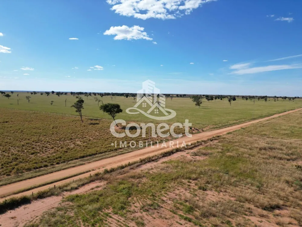 Fazenda, 8900 m² - Foto 11